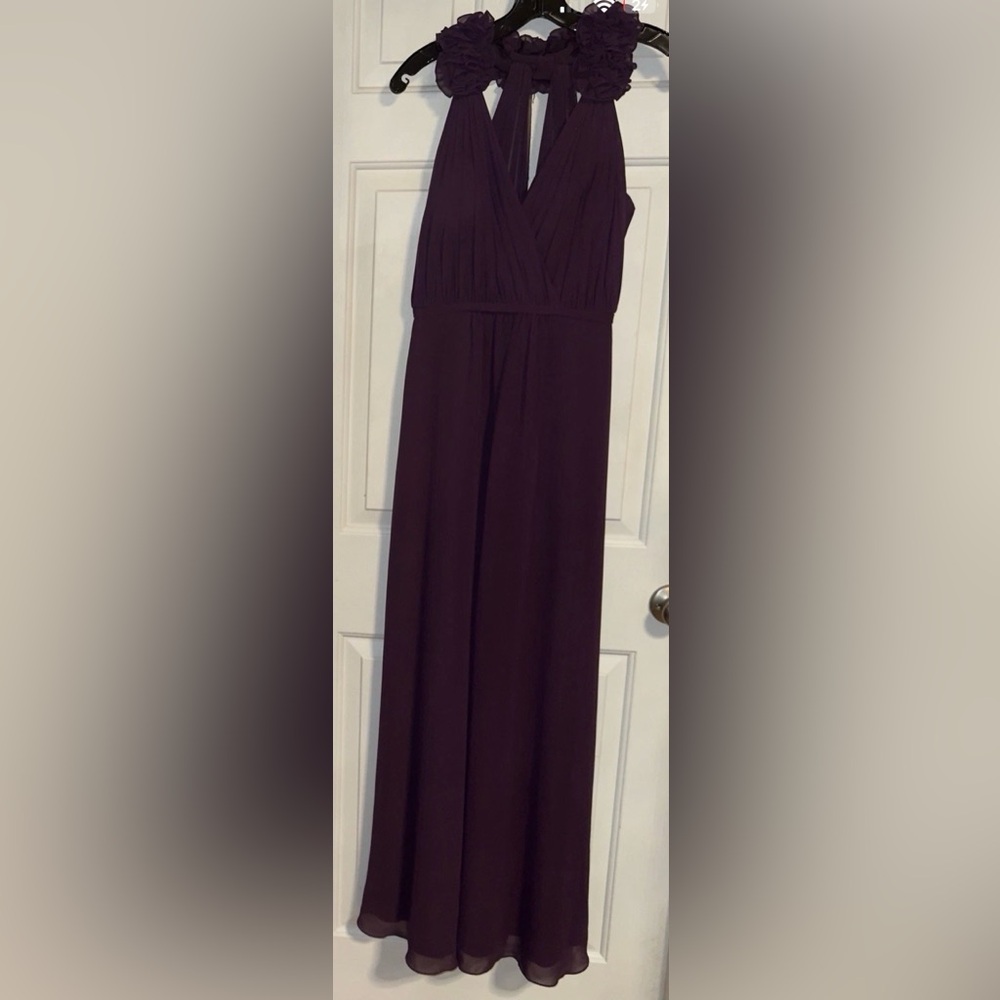Bari Jay Long Wedding Guest, Formal Dress Eggplant/Purple Size 4.NWT